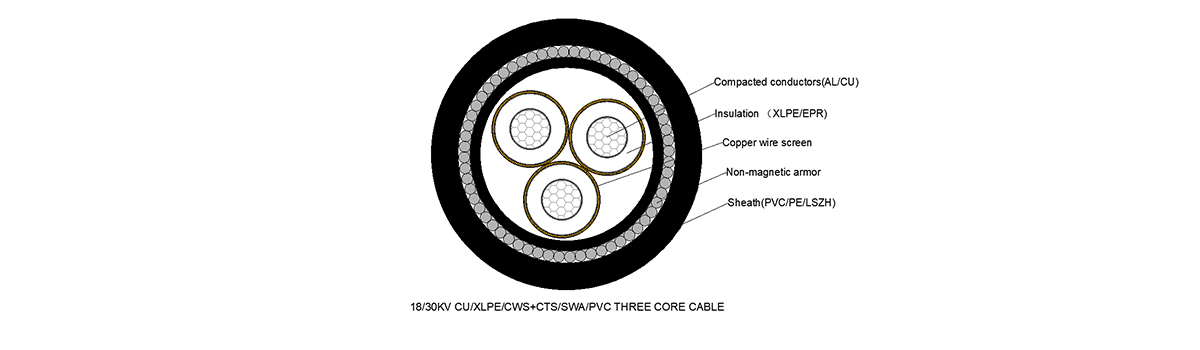 N2XSEY NA2XSEY N2XSE2Y NA2XSE2Y Three Cores Cable