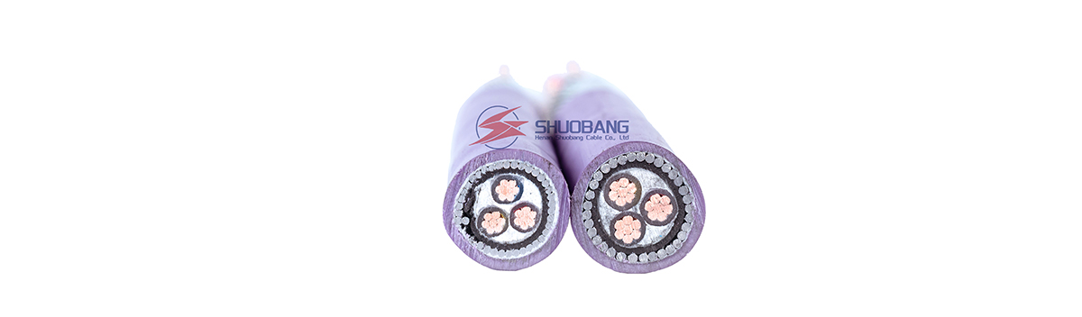 IECBS Standard XLPE Insulated LV Power Cable